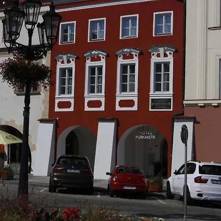 Purkmistr 호텔 4*